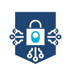 Network Security Monitoring