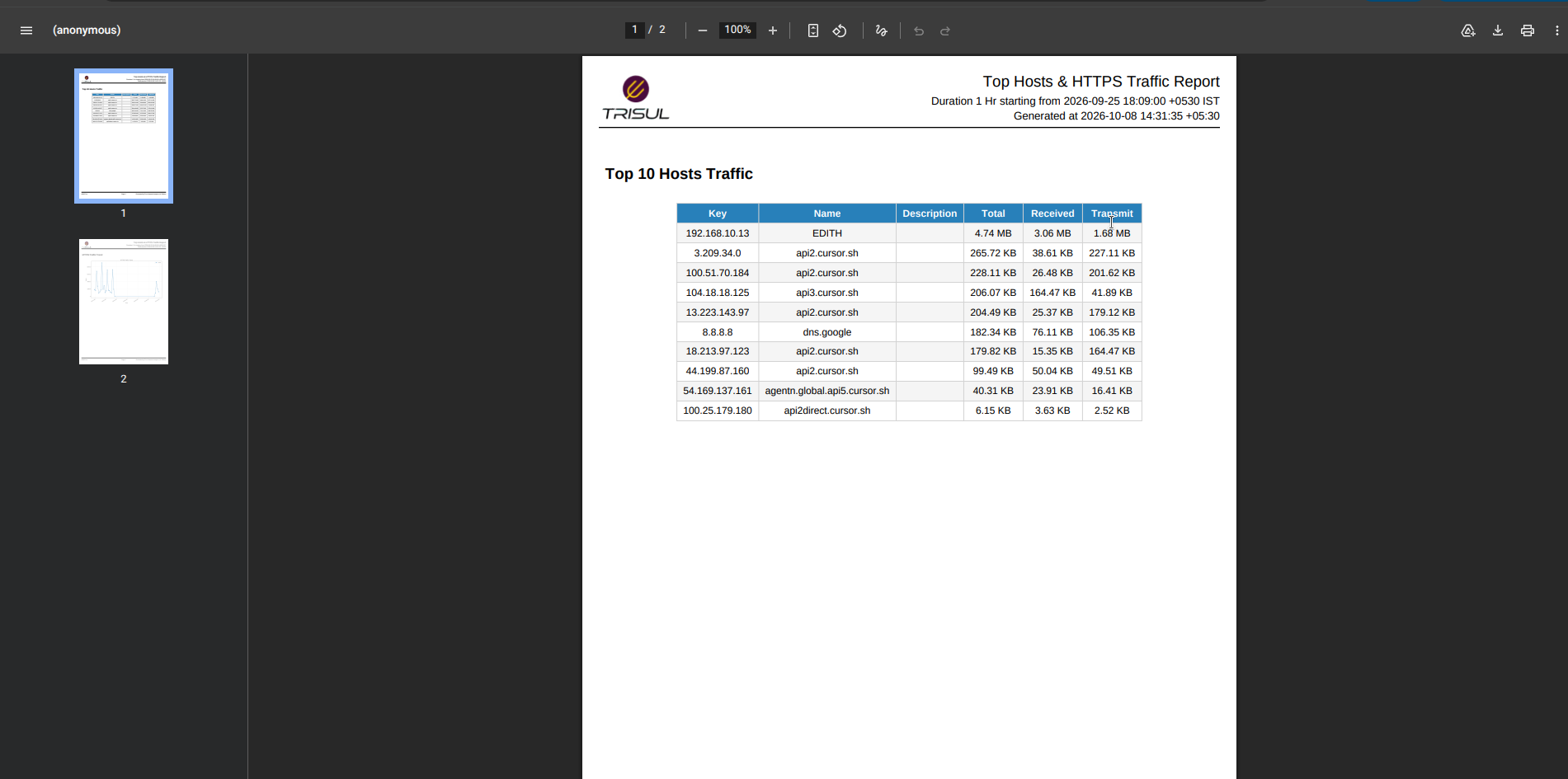 Generated PDF report
