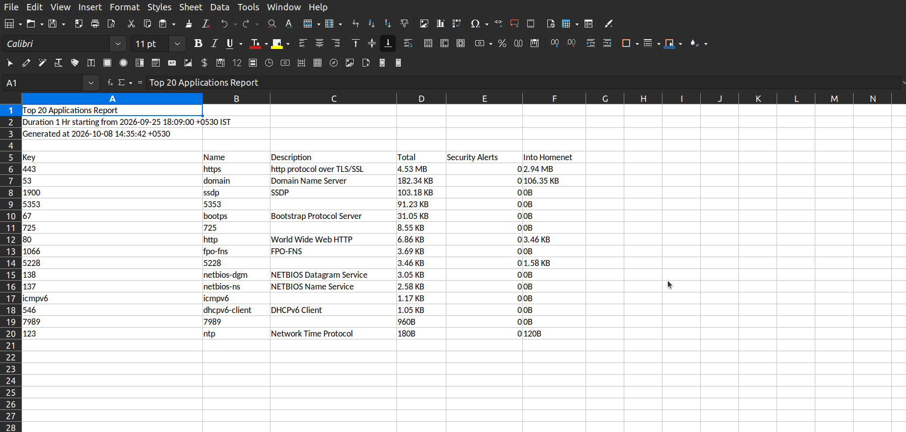 Generated Excel report